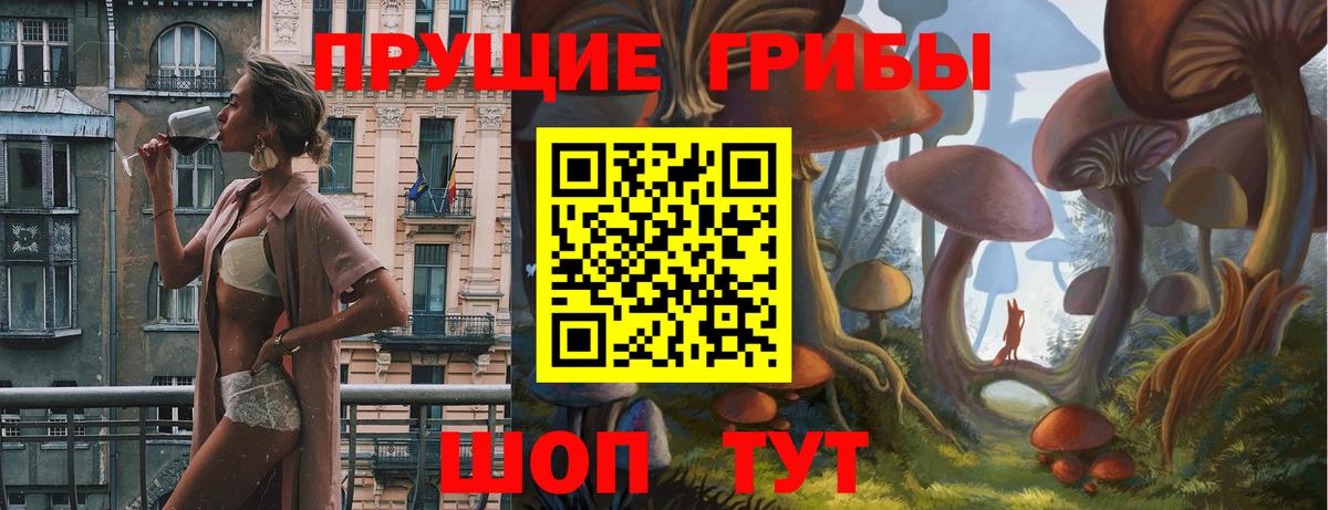 Галлюциногенные грибы GOLDEN TEACHER  Вход с VPN  Котовск 